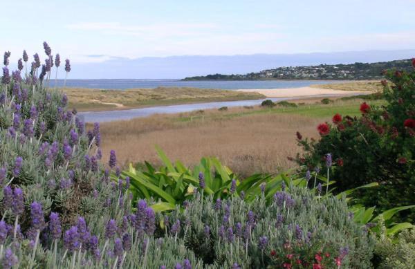 A Great Ocean View Motel Аполо Бей Екстериор снимка